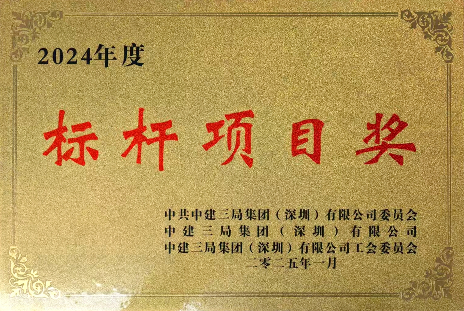 标杆项目奖.jpg 标杆项目奖.jpg