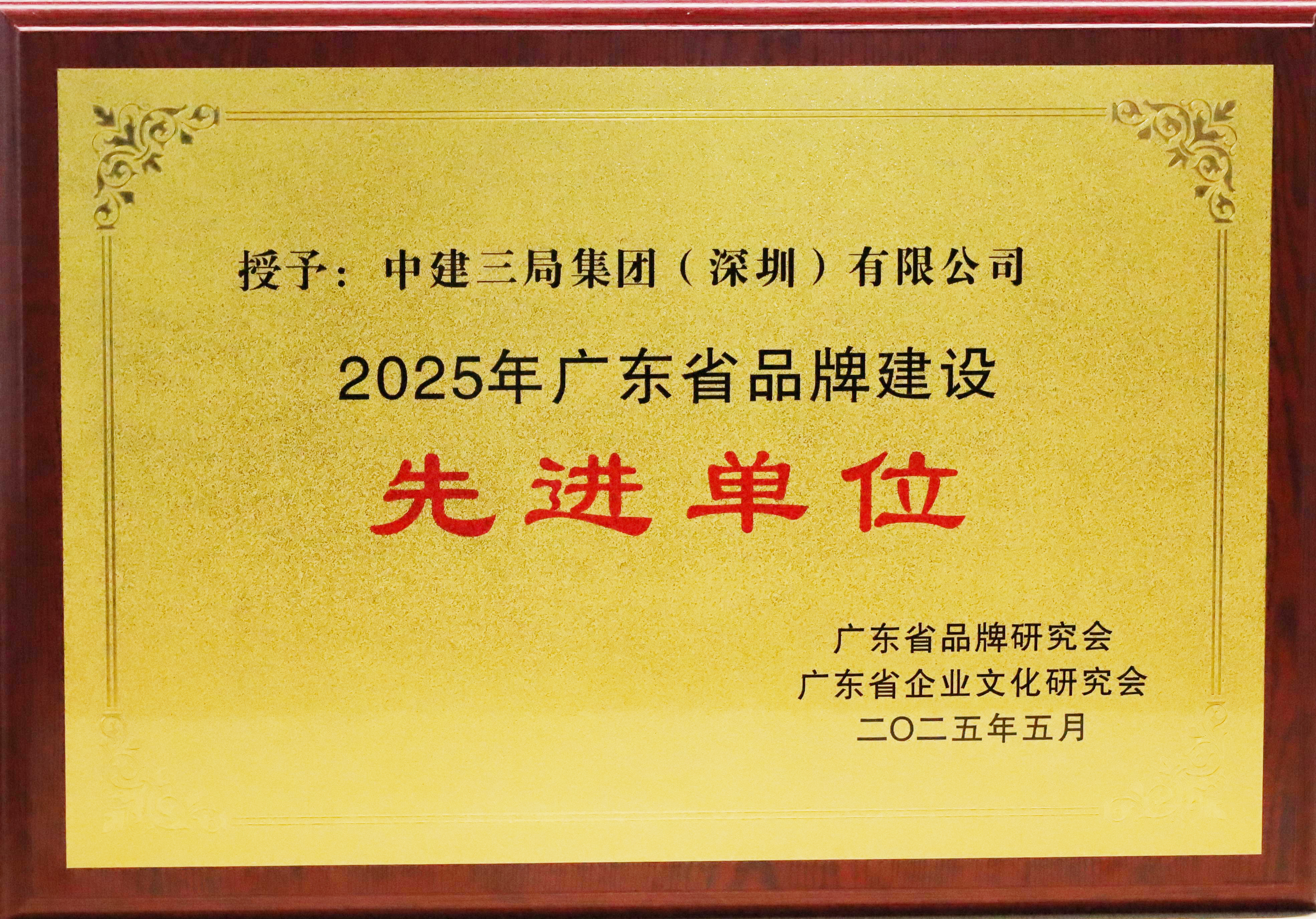广东省品牌建设先进单位.JPG 广东省品牌建设先进单位.JPG