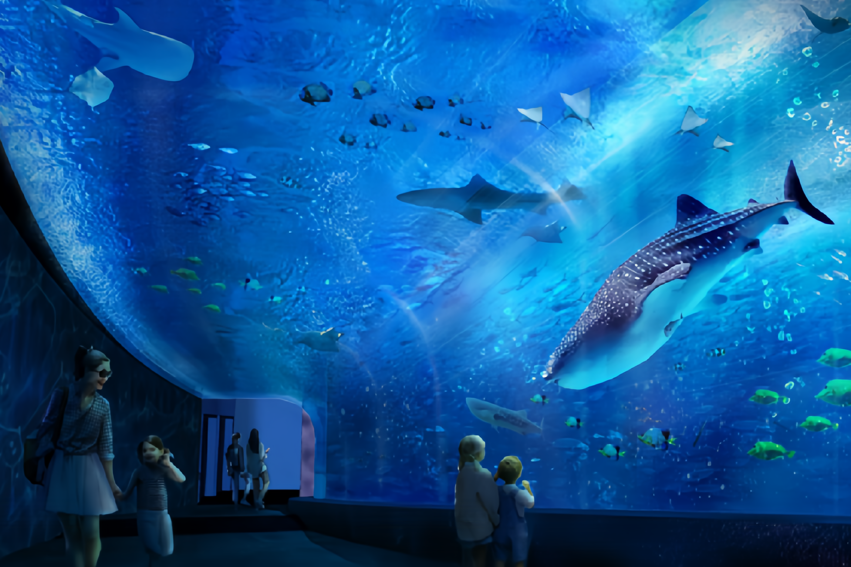 鲸鲨展池.png